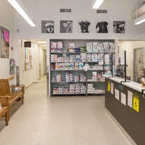 Waiting area in West Village Veterinary Hospital